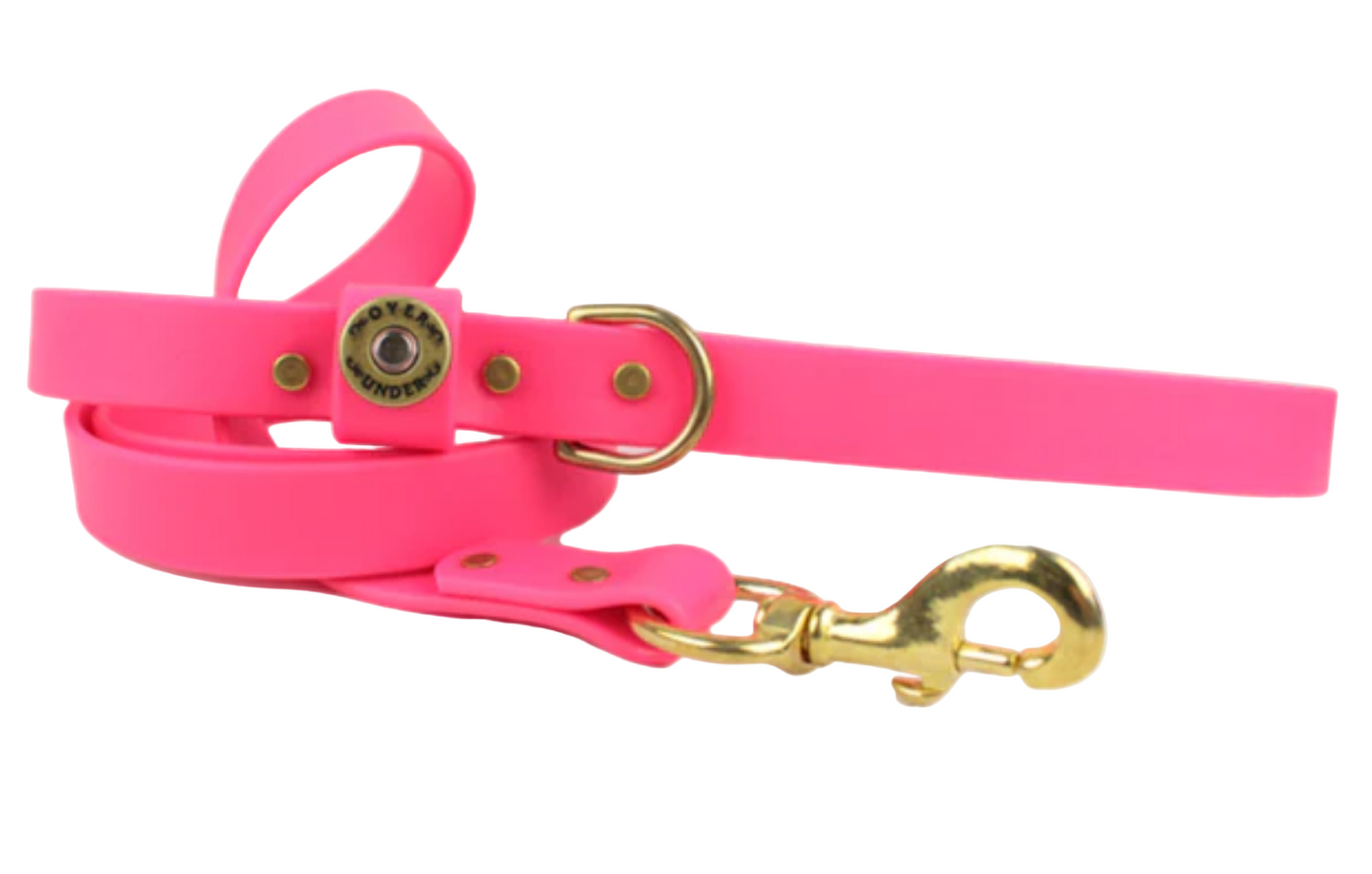 Water Dog Traffic Lead