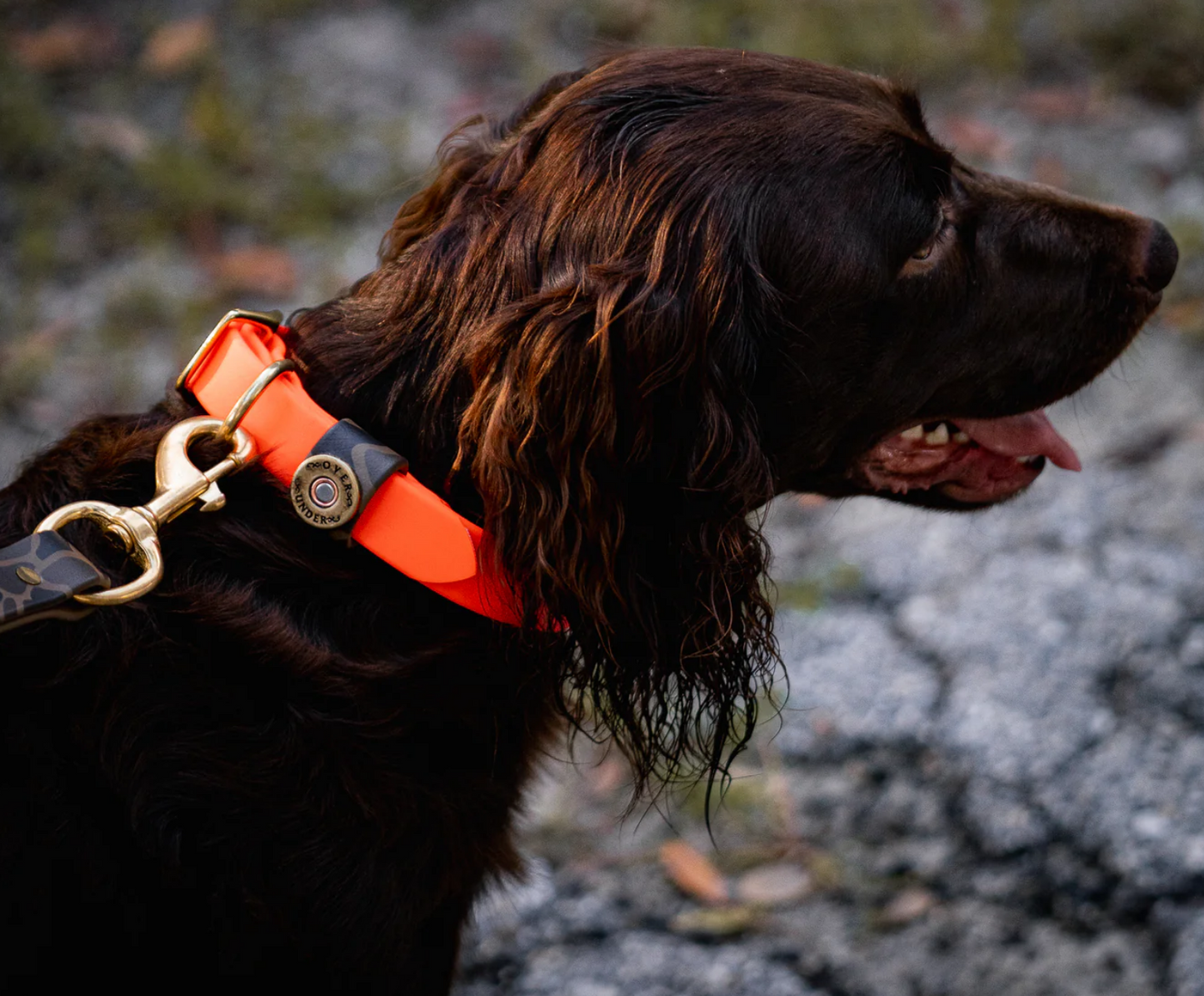 Water Dog Collar - Orange/Camo Keeper