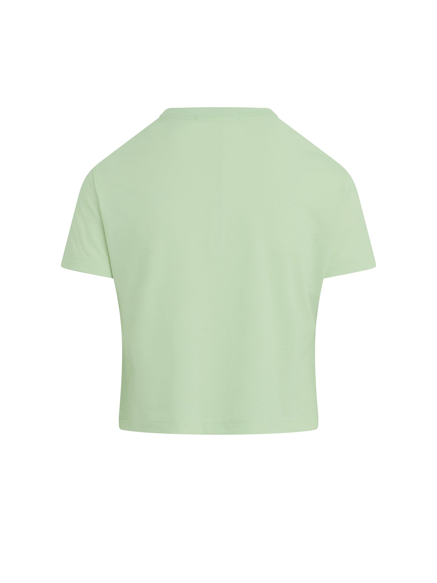 Ws FD Cropped Varsity Tee Mint