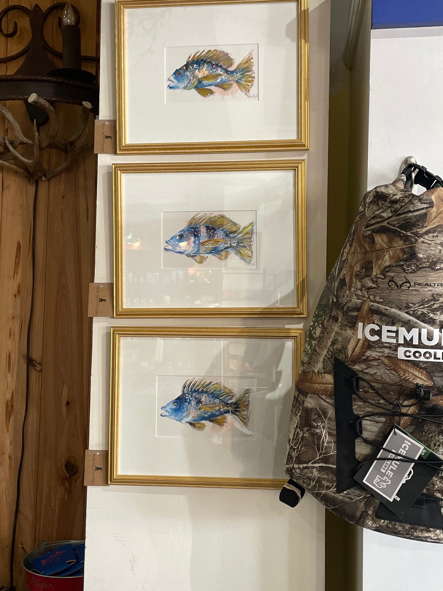 Measure Again Original Paintings - Framed - Beau Outfitters