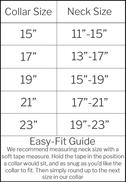 Water Dog Collar - Teal - Beau Outfitters