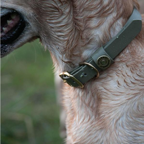 Water Dog Collar - Safety Yellow - Beau Outfitters