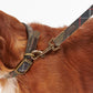 Classic Tartan  Webbing Dog Lead
