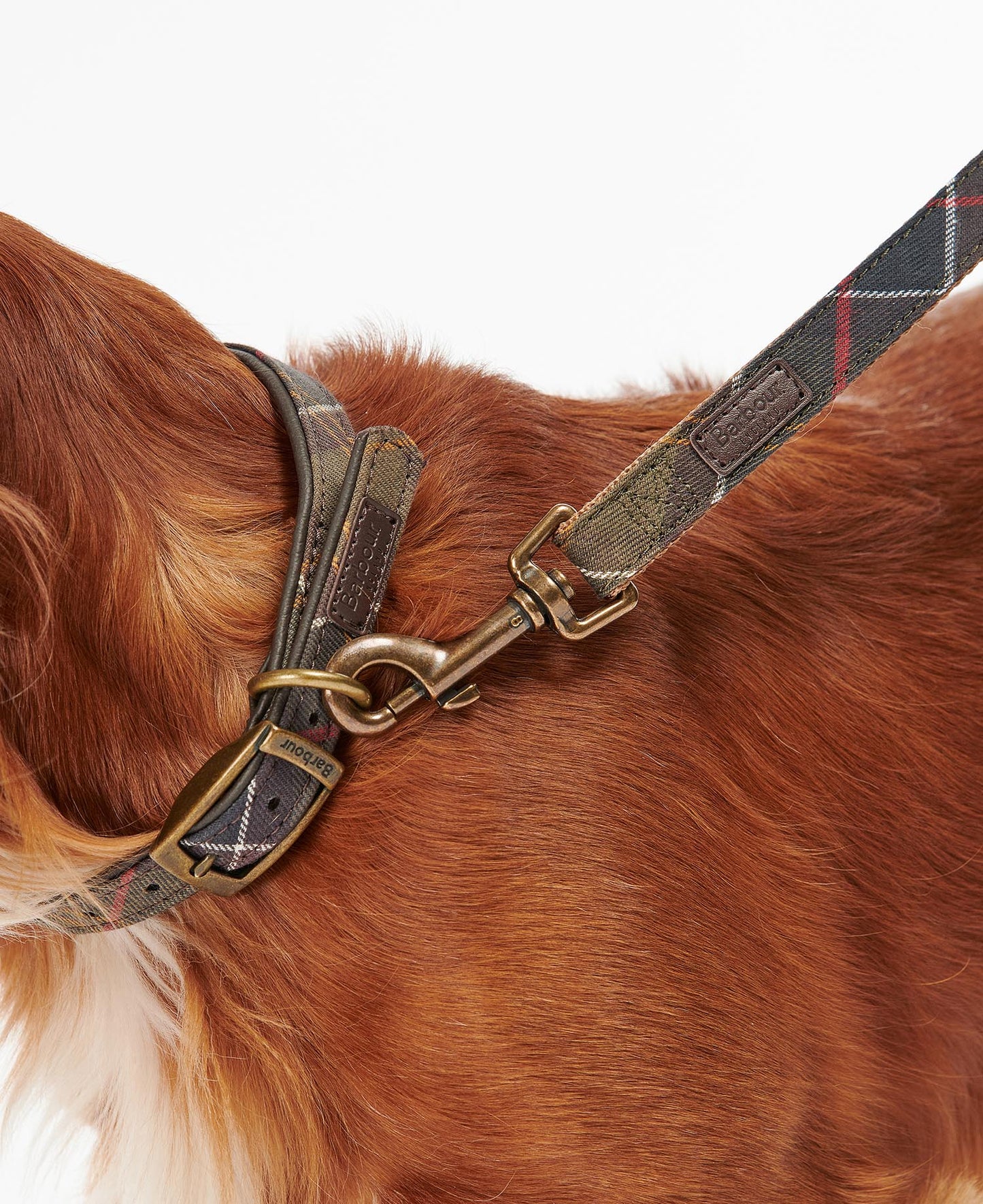 Classic Tartan  Webbing Dog Lead