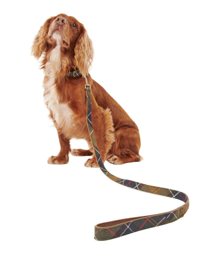 Classic Tartan  Webbing Dog Lead