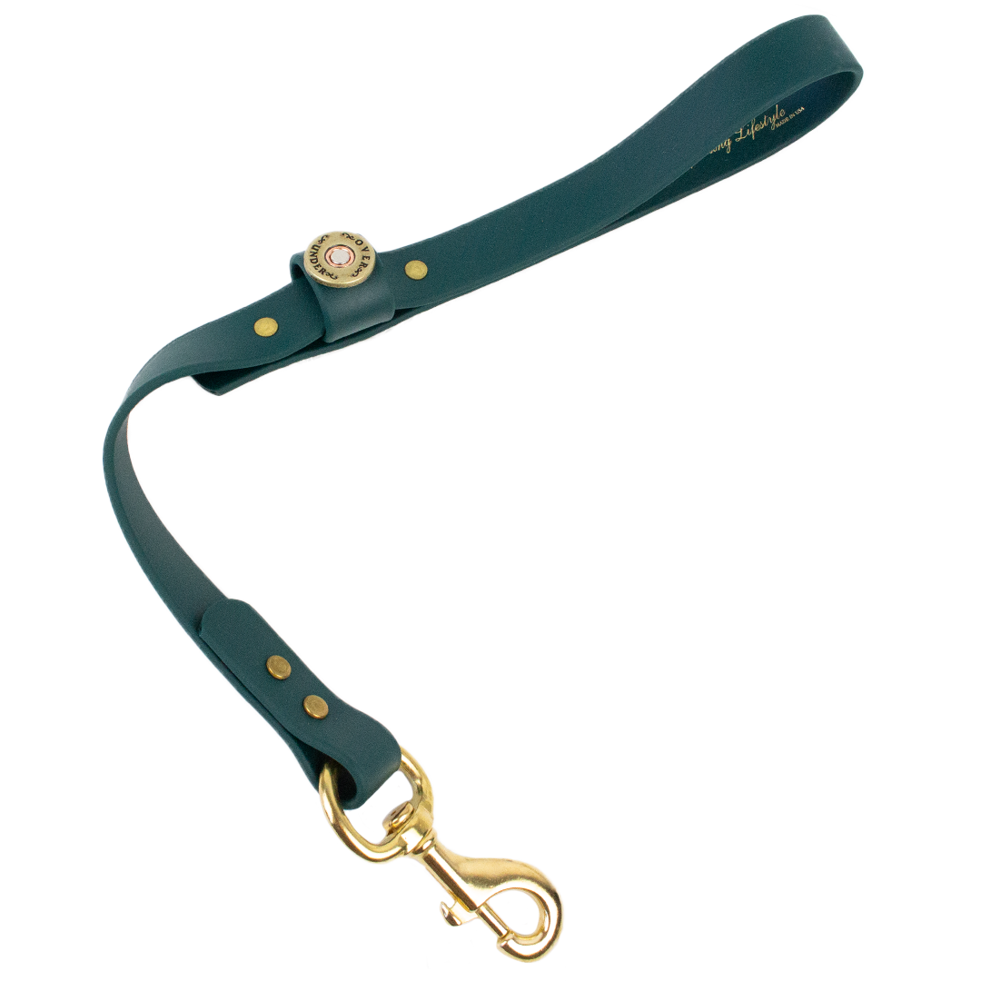 Water Dog Traffic Lead