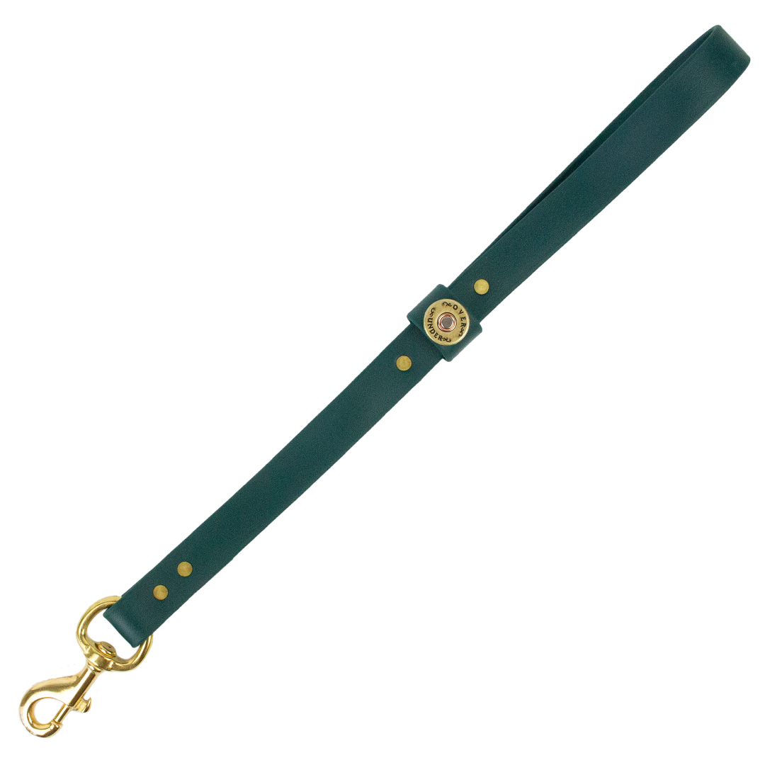 Water Dog Traffic Lead