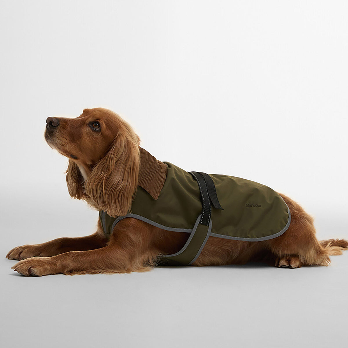 Monmouth Waterproof Dog Coat Olive
