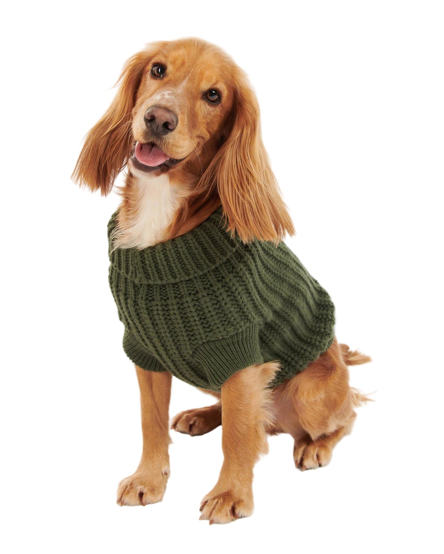 Barbour Saltburn Dog Jumper
