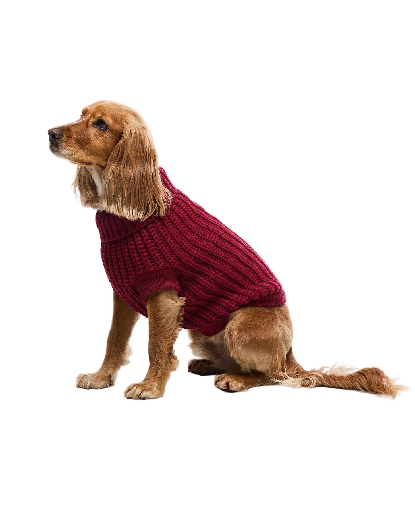 Barbour Saltburn Dog Jumper