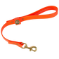 Water Dog Traffic Lead