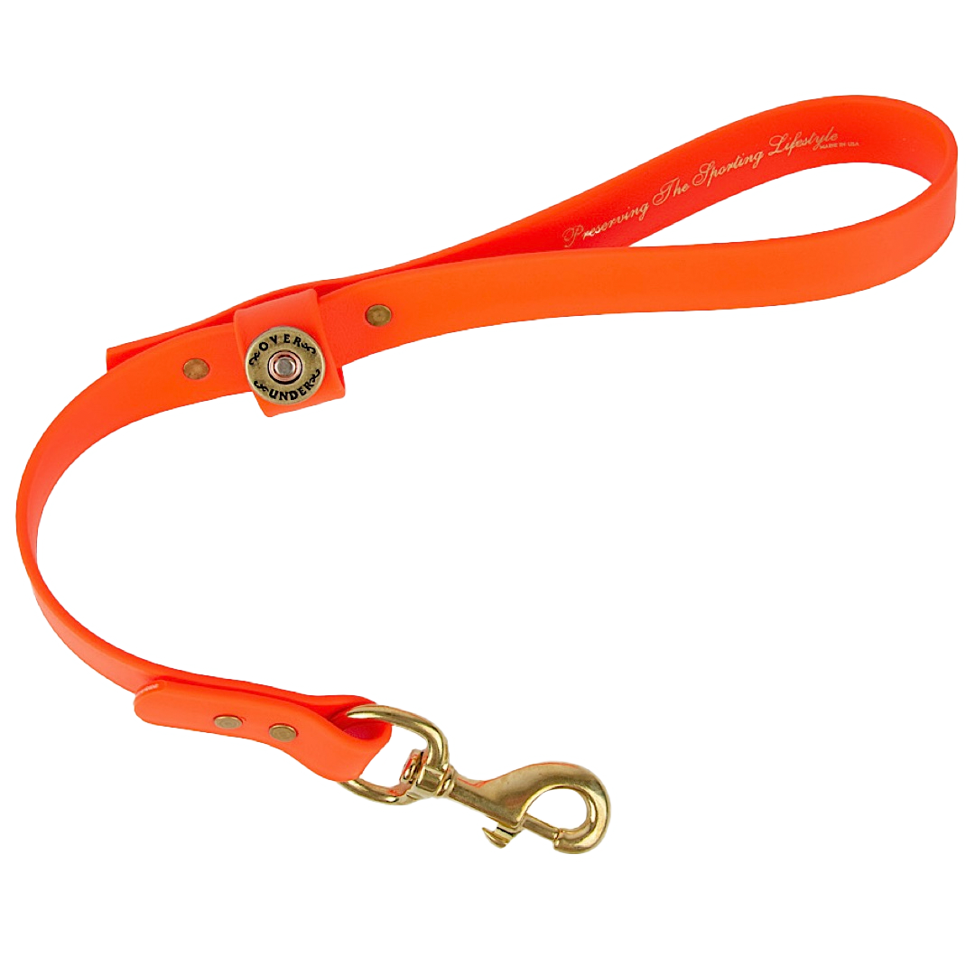 Water Dog Traffic Lead