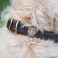 Water Dog Collar - Brown - Beau Outfitters