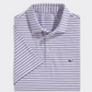 Bradley Tri Stripe Sankaty Polo  Wht/Blu/Dahlia - Beau Outfitters