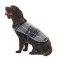 Wetherham Tartan Dog Coat Gardenia Tartan - Beau Outfitters