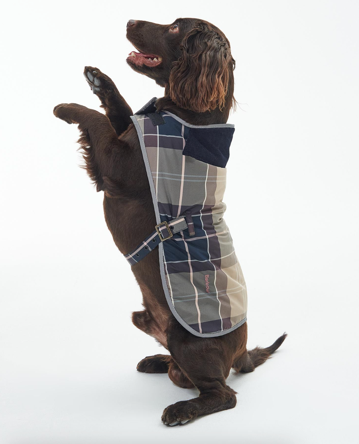 Barbour tartan dog coat sales