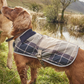 Wetherham Tartan Dog Coat Gardenia Tartan - Beau Outfitters