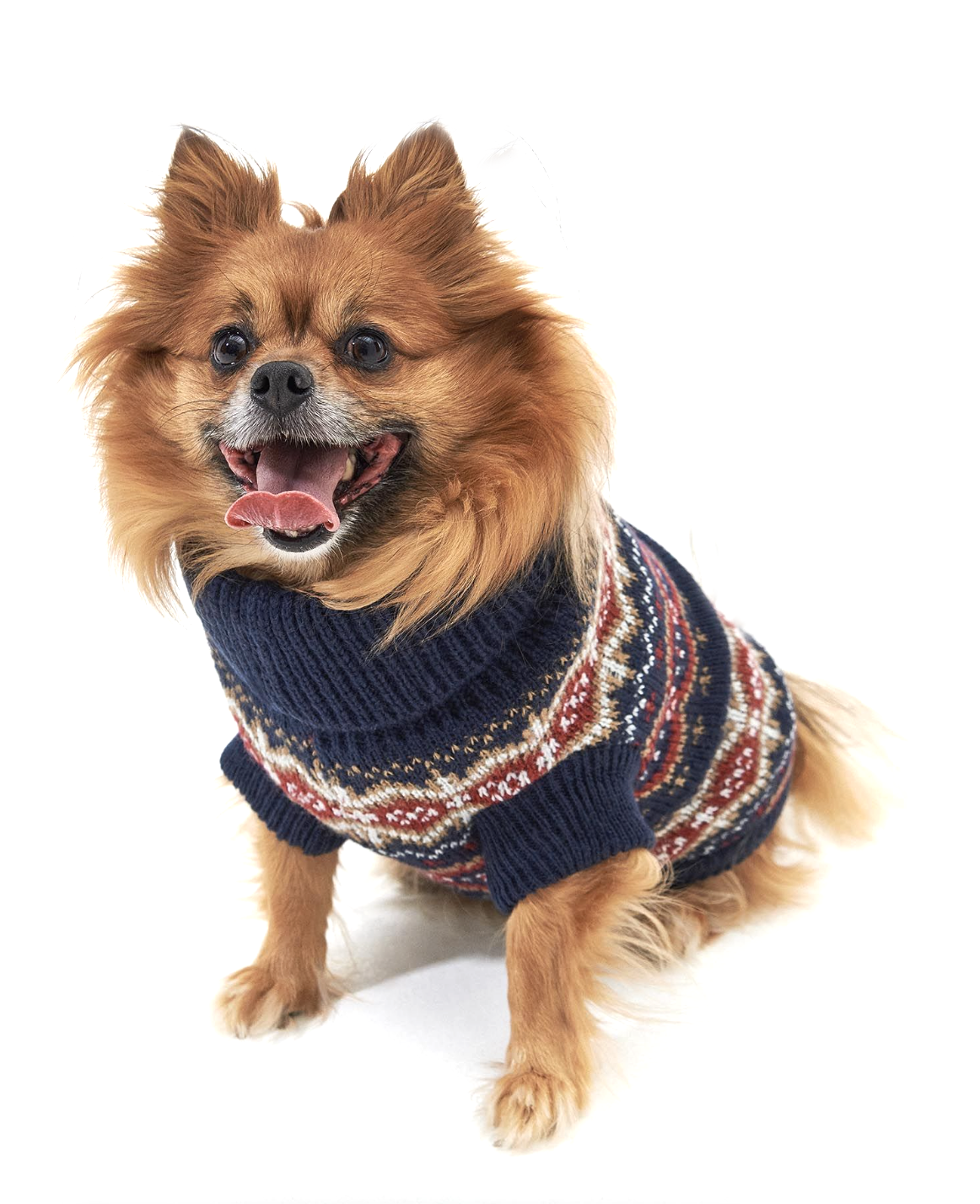 Case Fair Isle Dog Jumper Cranberry - Beau Outfitters