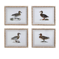 Duck Print Wall Art 16 x 20 - Beau Outfitters