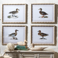 Duck Print Wall Art 16 x 20 - Beau Outfitters