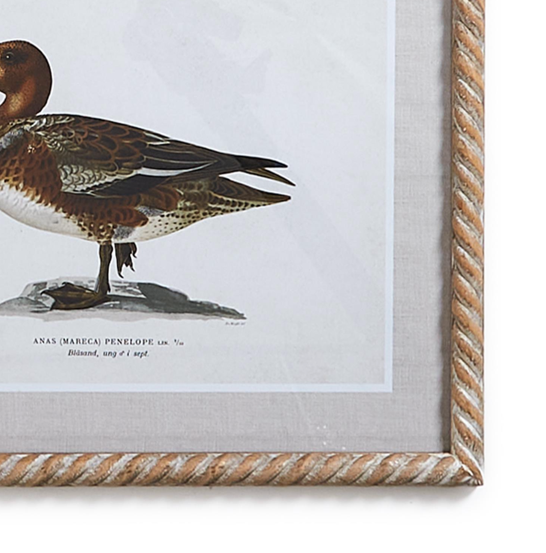 Duck Print Wall Art 16 x 20 - Beau Outfitters