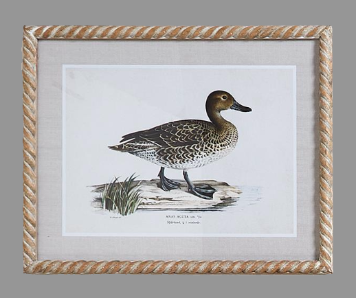 Duck Print Wall Art 16 x 20