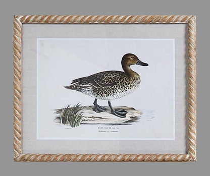 Duck Print Wall Art 16 x 20 - Beau Outfitters