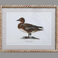 Duck Print Wall Art 16 x 20 - Beau Outfitters