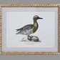 Duck Print Wall Art 16 x 20 - Beau Outfitters