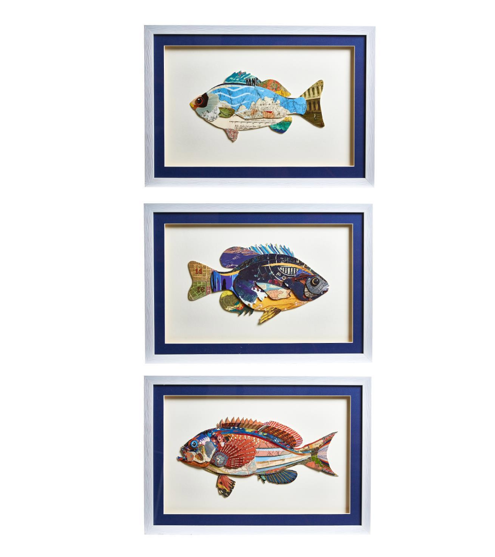 Fish Collage Wall Art 14 x 19.5 - Beau Outfitters