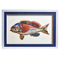 Fish Collage Wall Art 14 x 19.5 - Beau Outfitters