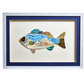 Fish Collage Wall Art 14 x 19.5 - Beau Outfitters