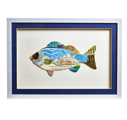 Fish Collage Wall Art 14 x 19.5 - Beau Outfitters