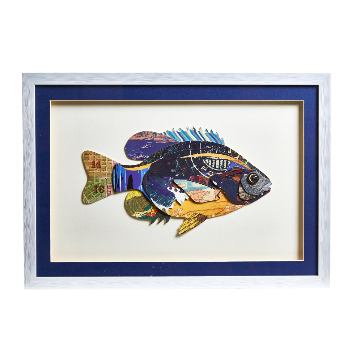 Fish Collage Wall Art 14 x 19.5 - Beau Outfitters