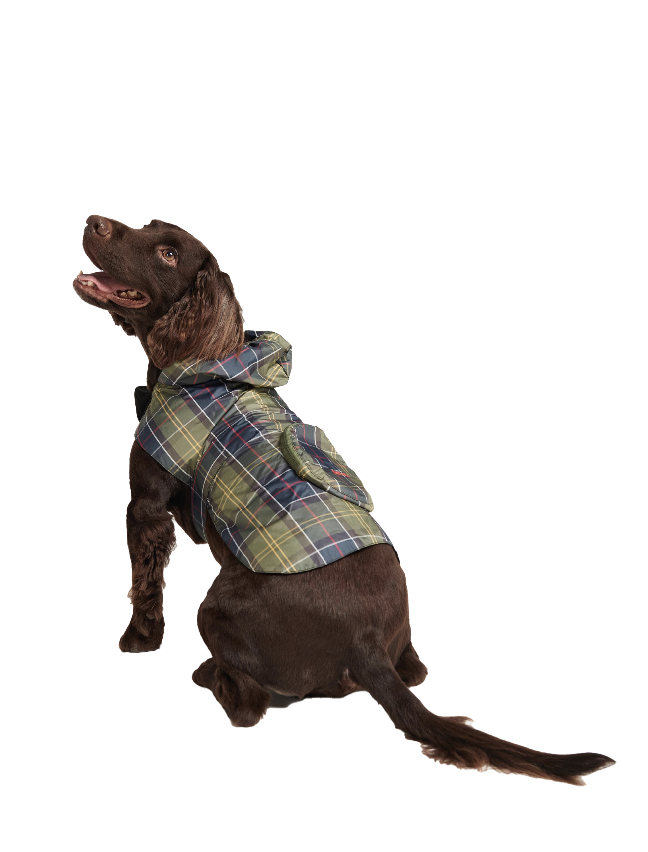 Packable Tartan Dog Rain Coat