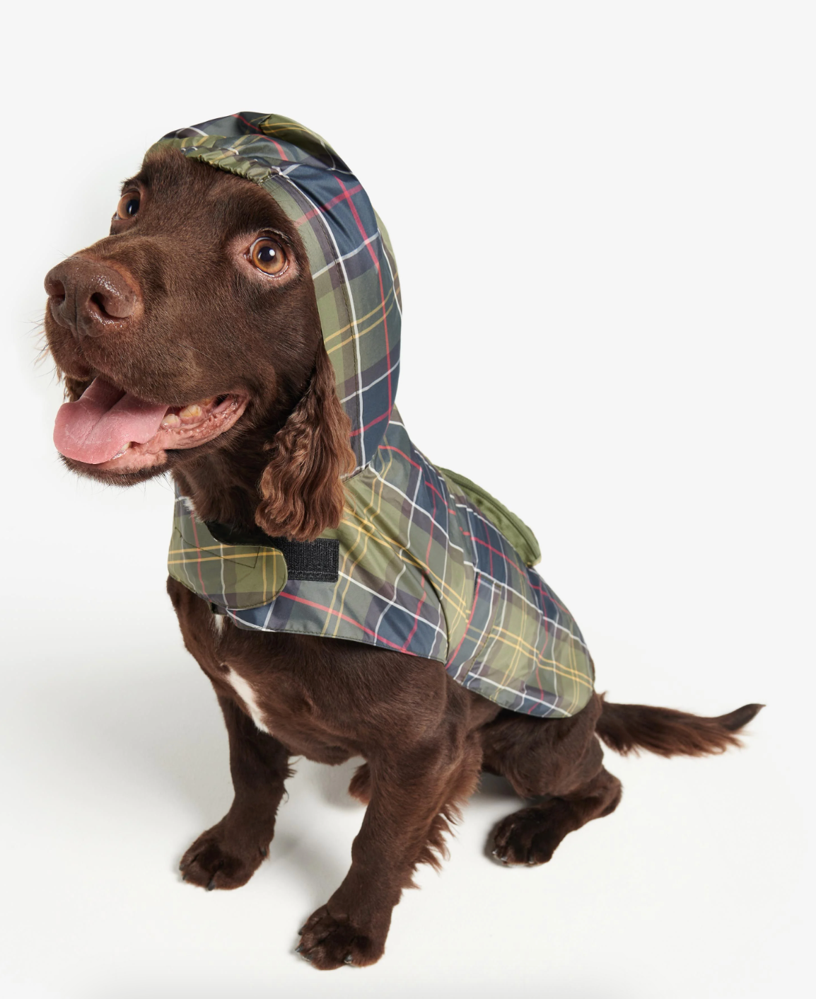 Packable Tartan Dog Rain Coat