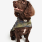 Packable Tartan Dog Rain Coat - Beau Outfitters