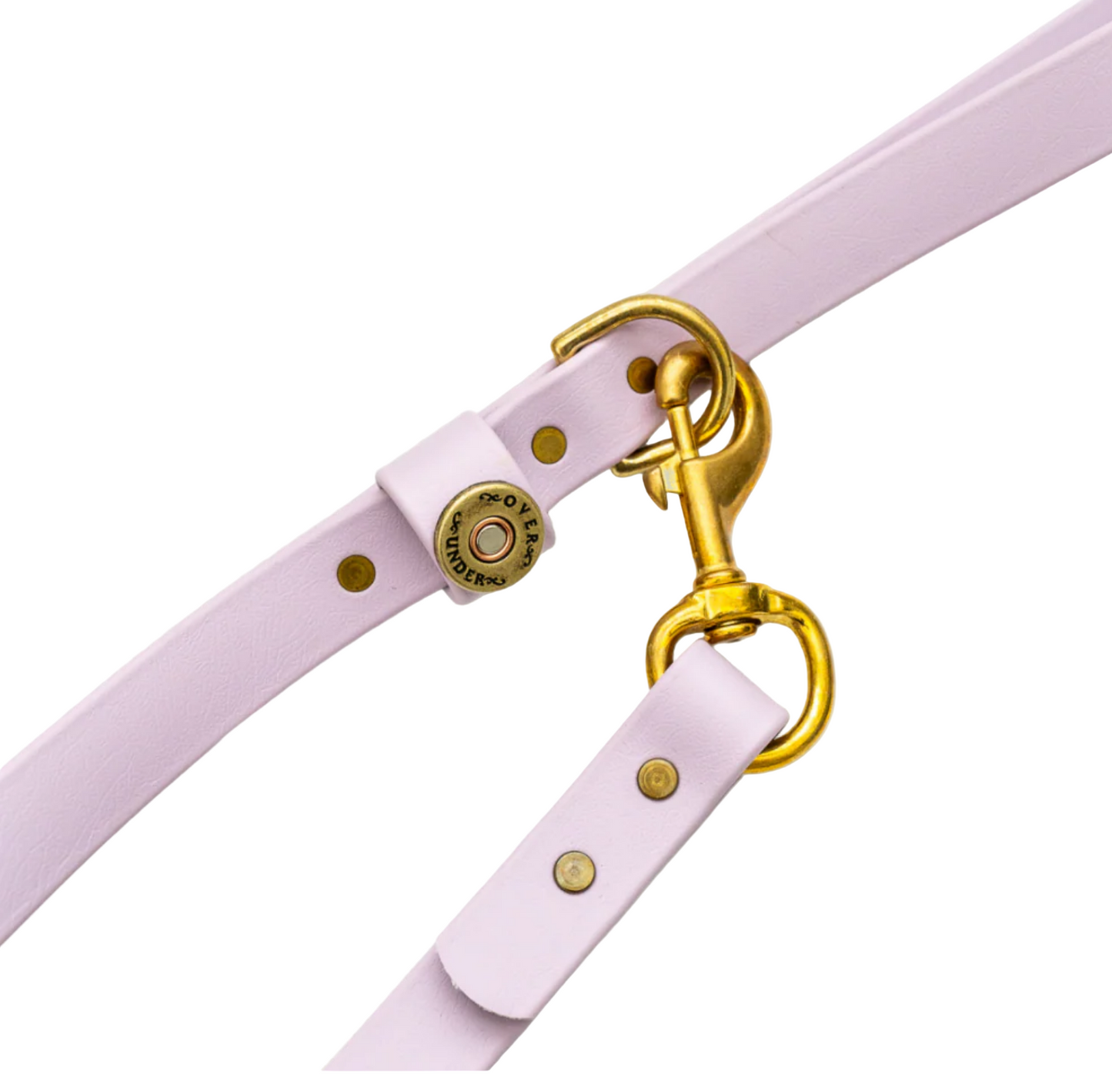 Water Dog Traffic Lead