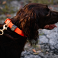 Water Dog Collar - Orange/Camo Keeper