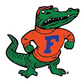 Youth UF Albert Logo Durant Jr Hoodie Royal