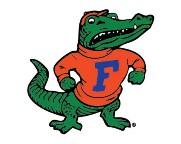 Youth UF Albert Logo Durant Jr Hoodie Royal