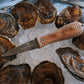 Limited Ed. Oyster Knife - Olive Wood Handle