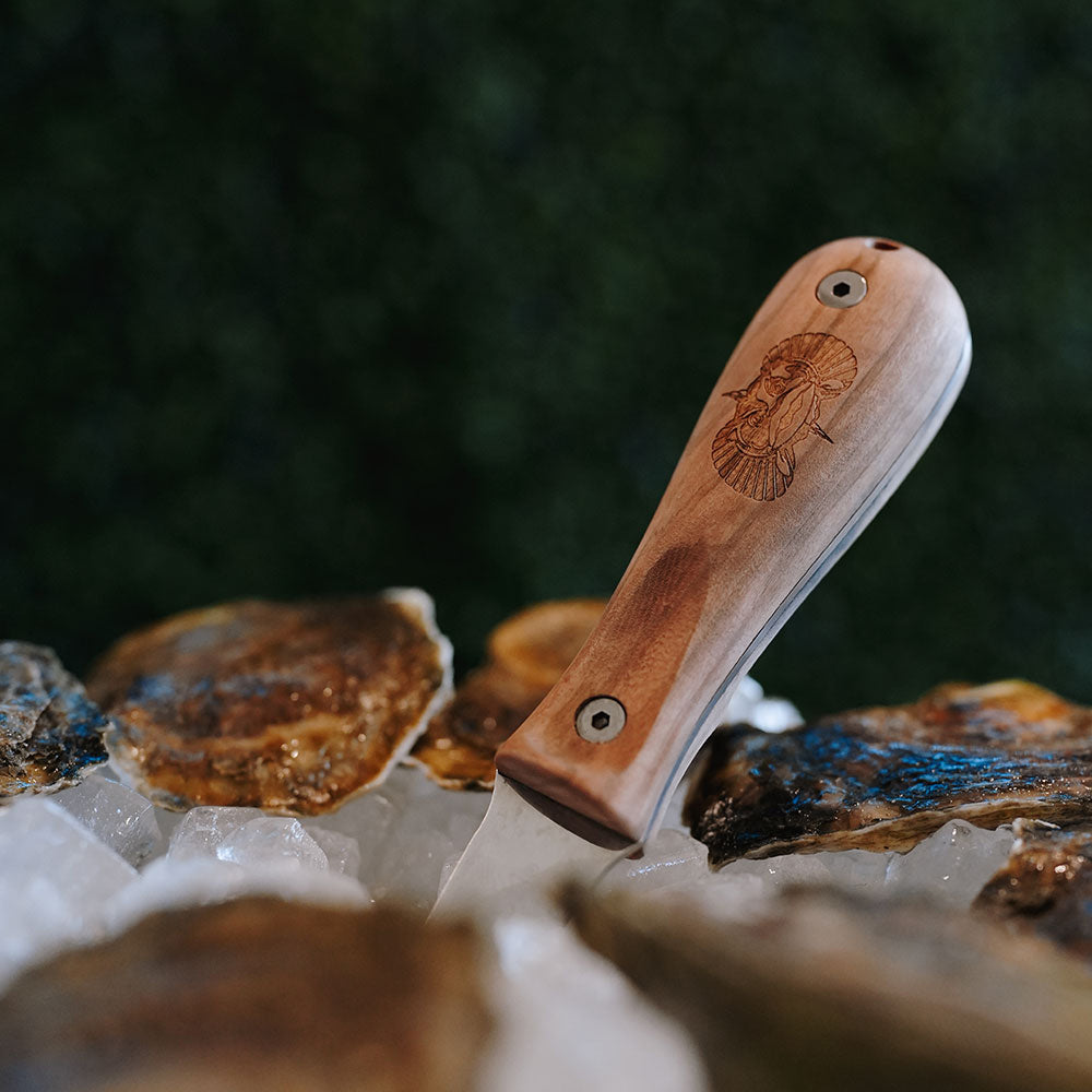 Limited Ed. Oyster Knife - Olive Wood Handle