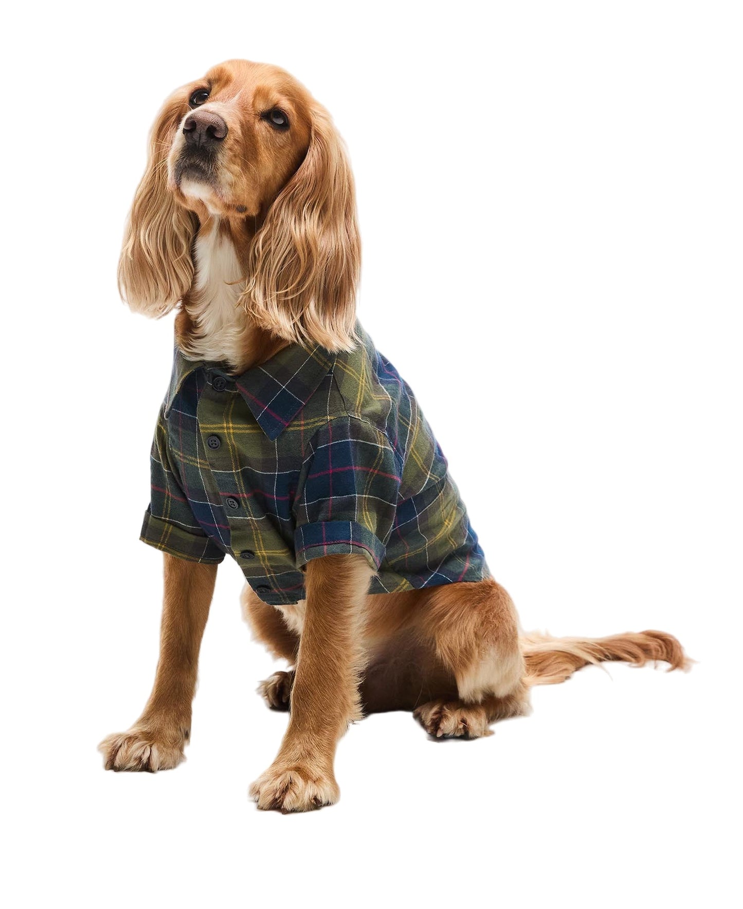 Barbour Classic Tartan Fortrose Dog Shirt