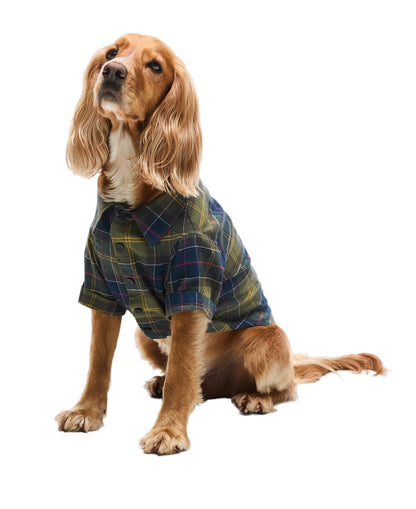 Barbour Classic Tartan Fortrose Dog Shirt