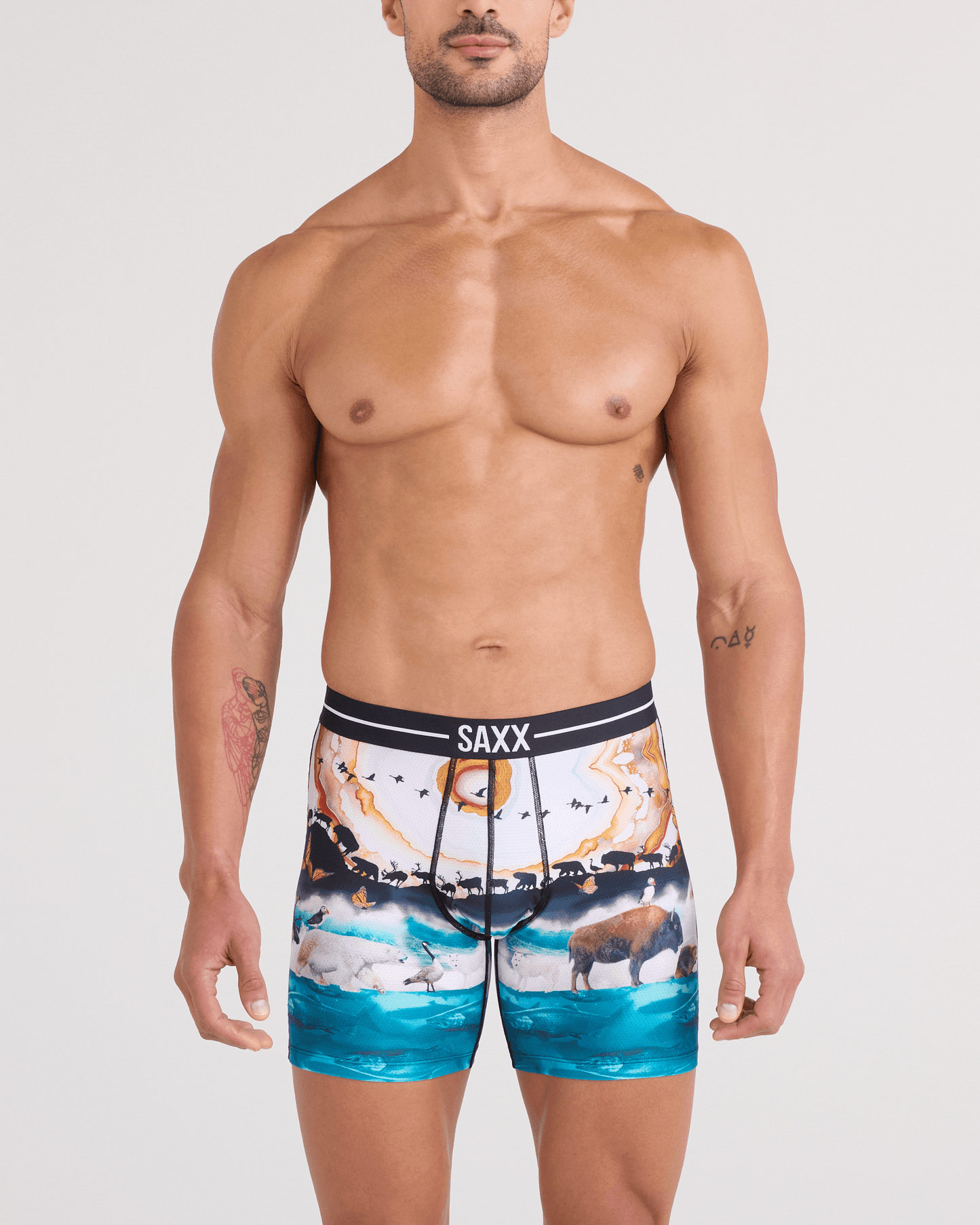 Volt Boxer Brief Great Migration