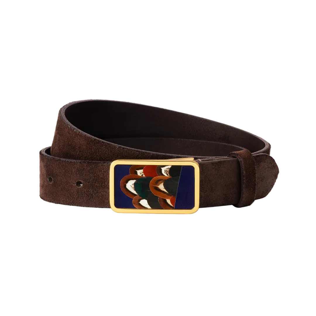 Chocolate brown suede belt with gold rectangular feather inlay buckle, coiled flat