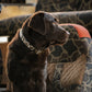 Water Dog Collar - Duck Camo/Orange Keeper