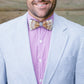 Grey Bobwhite Bow Tie - Beau Outfitters