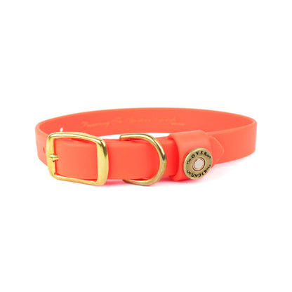 Water Dog Collar - Orange - Beau Outfitters